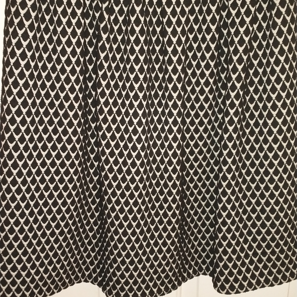 Fit and Flare Black and White dress